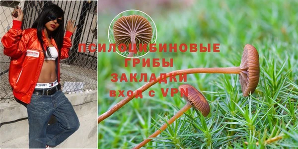 героин Белокуриха