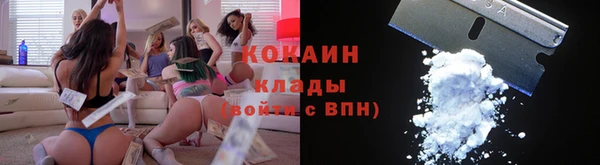 крисы Белоозёрский