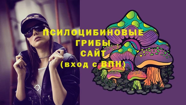 стаф Беломорск