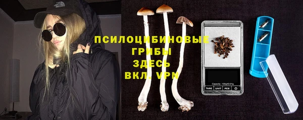 стаф Беломорск