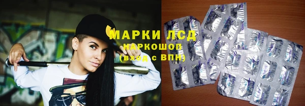 стаф Беломорск