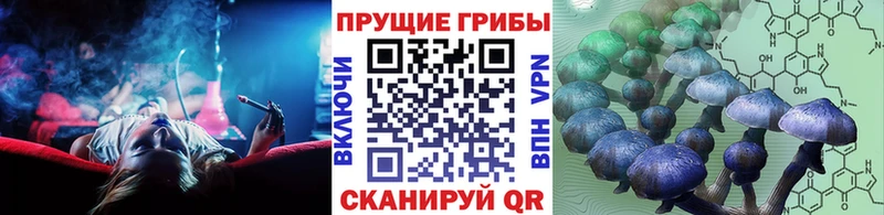 Галлюциногенные грибы мицелий  Калининец 
